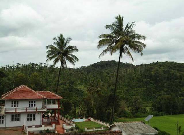 Makki Thitta Homestay, Sakleshpur 3
